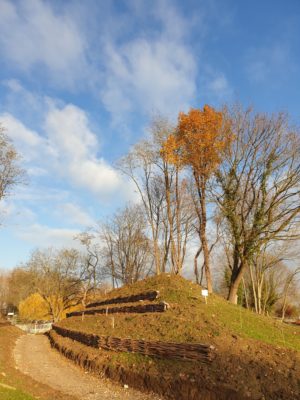 Les travaux du parc avancent…